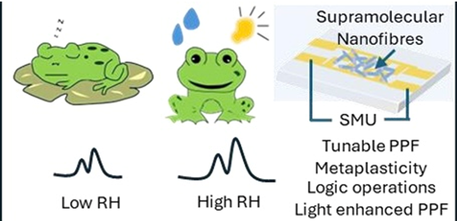 Indian Scientist Innovation Frog Sensor