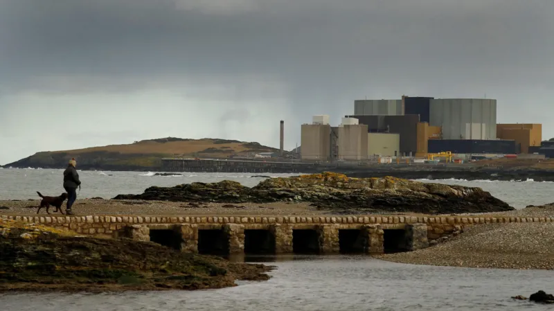 UK Nuclear Power Station Project