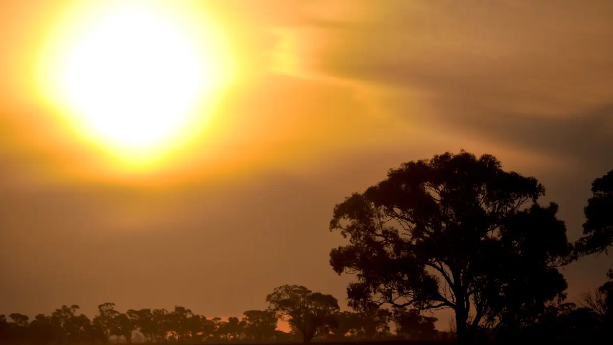 Daylight Saving Time 2026: Australia and New Zealand to ‘Fall Back’ This Easter Sunday; UK & USA Dates Confirmed