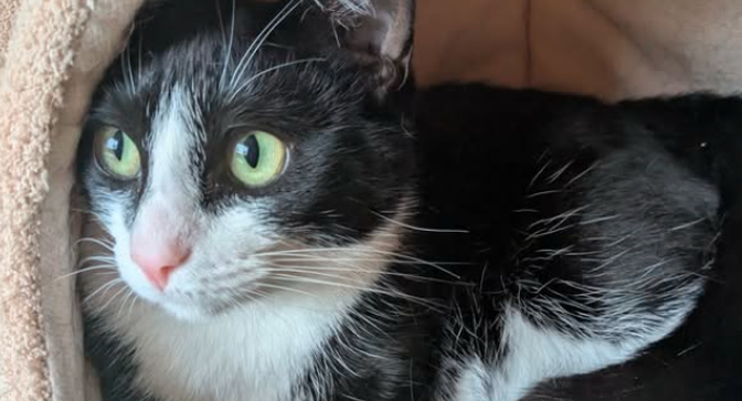 Western Sydney Assault Scene